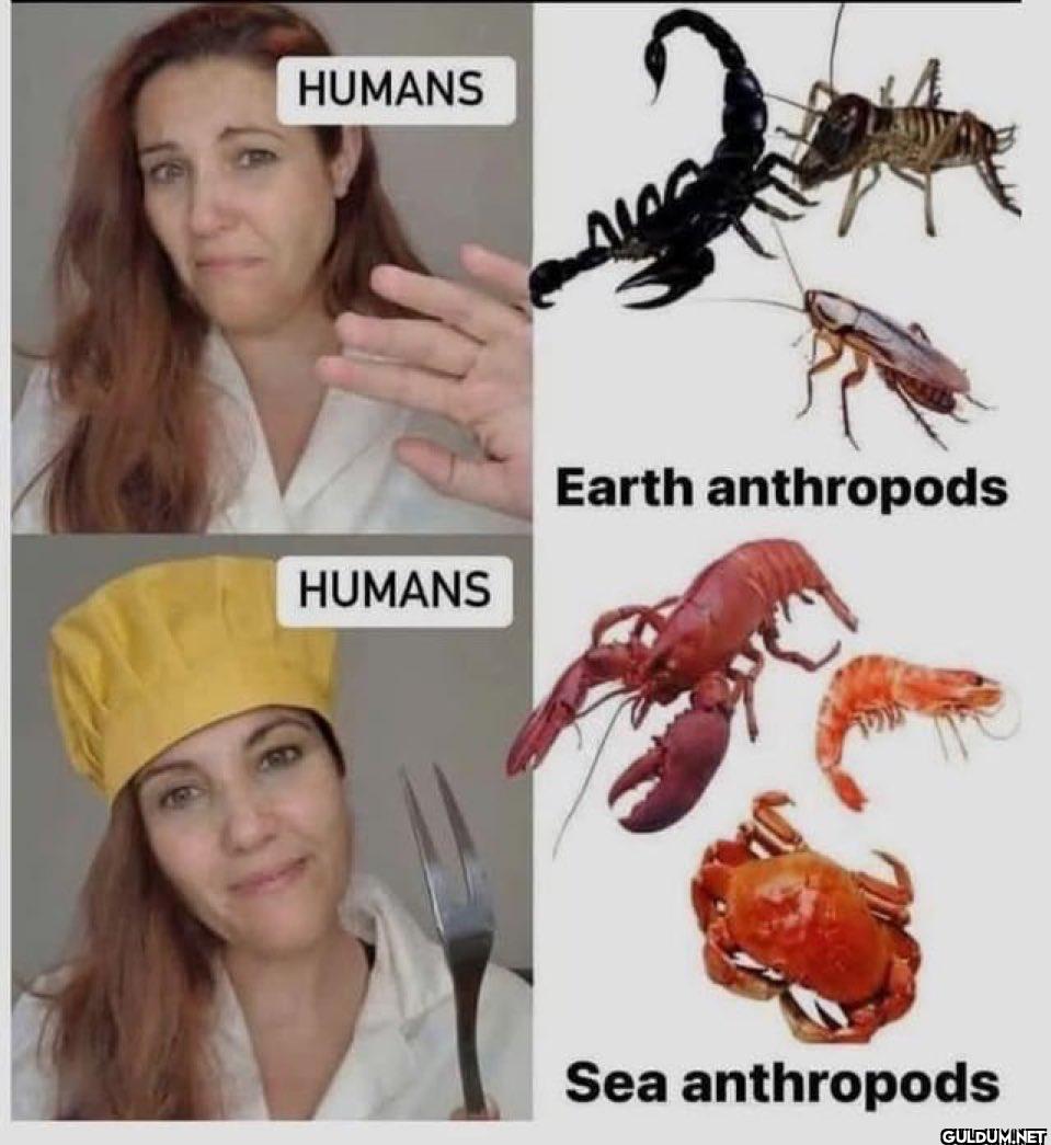 HUMANS HUMANS Earth...