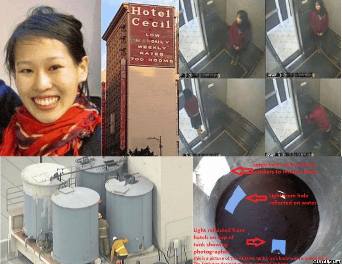 On February 19, 2013,...