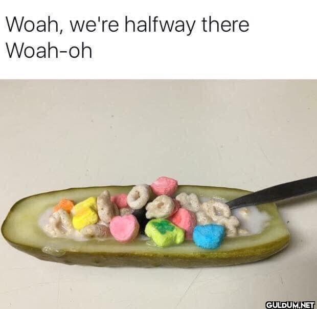 ︎ ︎ ︎ ︎    Woah, we're...