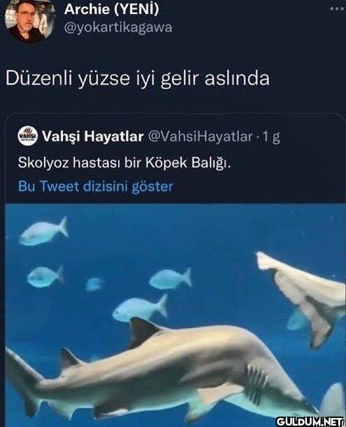 Düzenli yüzse iyi gelir...