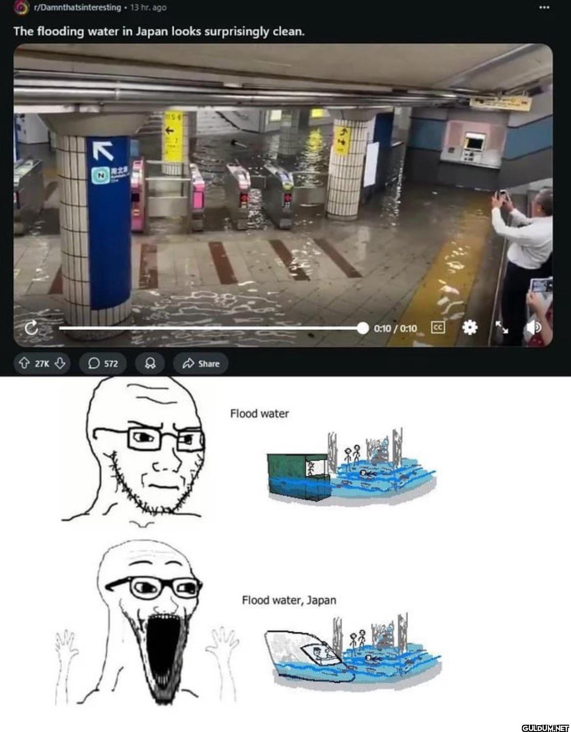 r/Damnthatsinteresting ⚫...