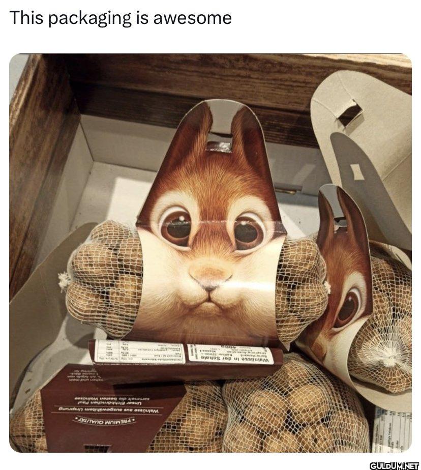 Walnüsse in der Schale...