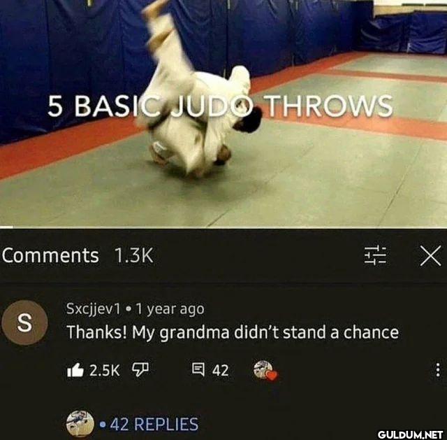 5 BASIC JUDO THROWS...