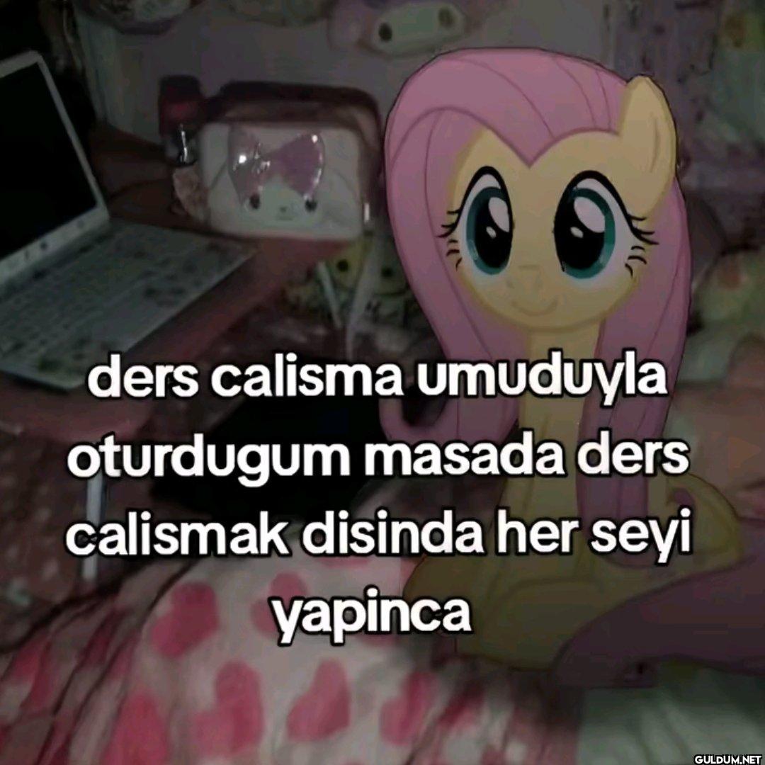ders calisma umuduyla...