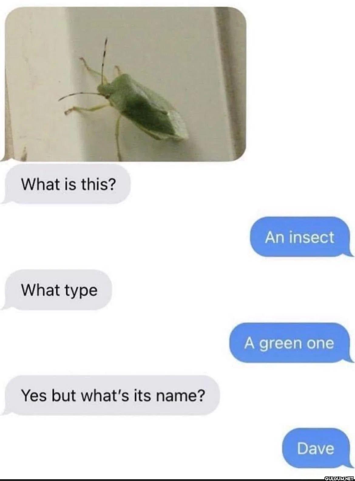 What is this? What type An...