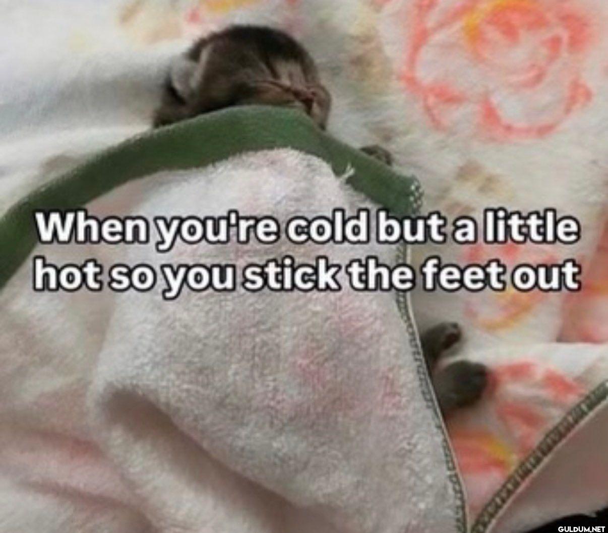 When you're cold but a...