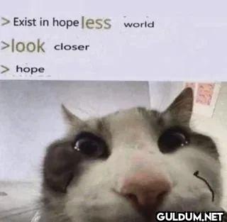 Exist in hopeless world...