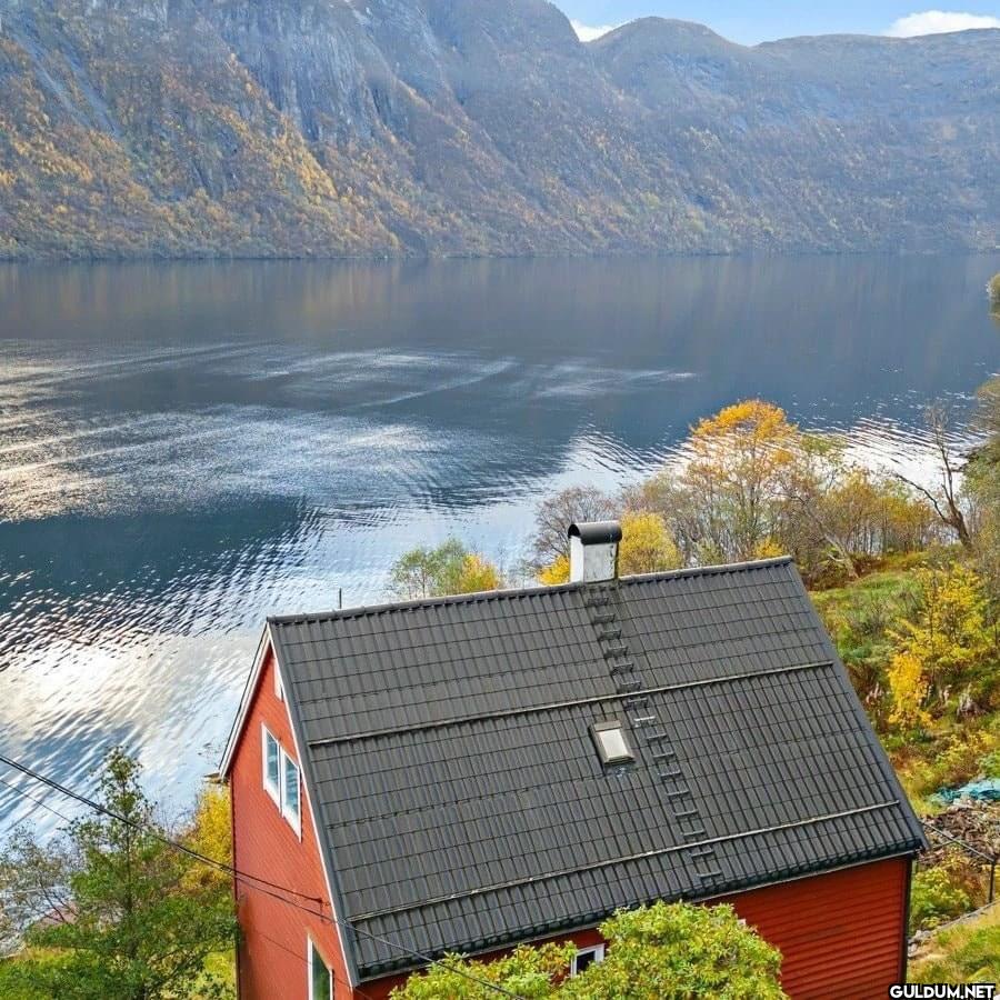 Norveç'te 33 bin 500...