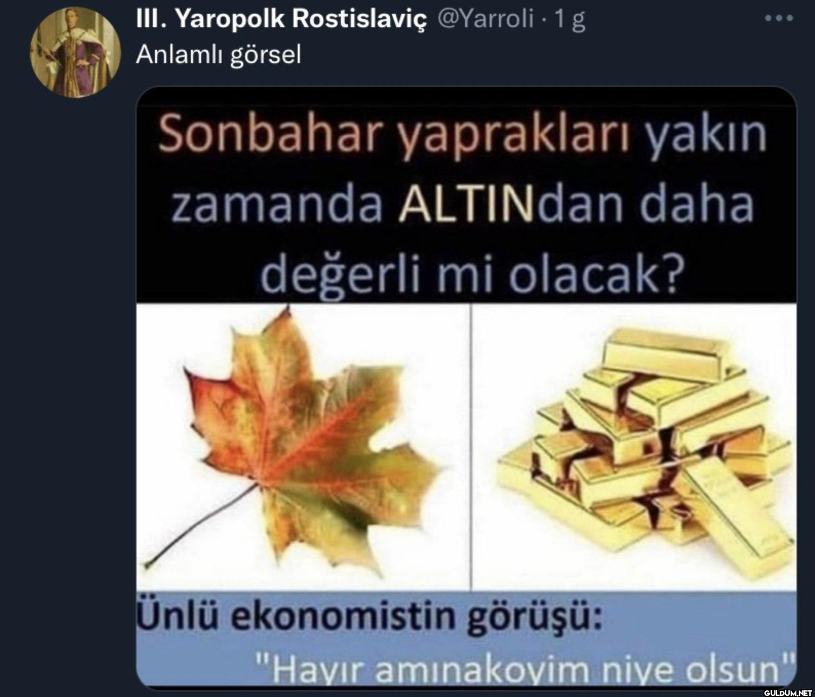 - 1 g Anlamlı görsel...