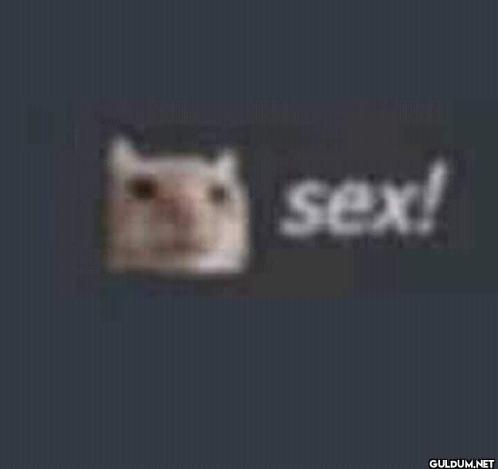 sex!
