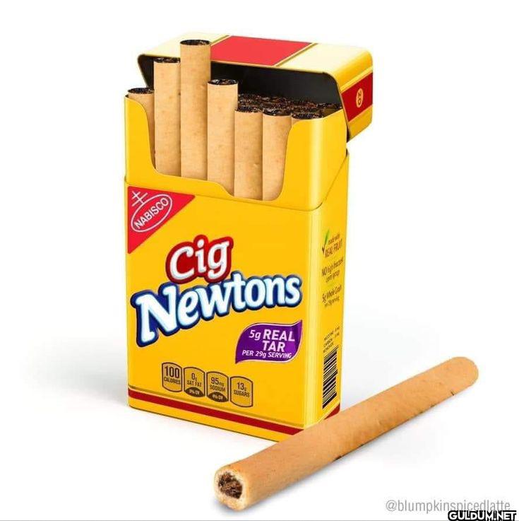 NABISCO Cig Newtons 100 5g...