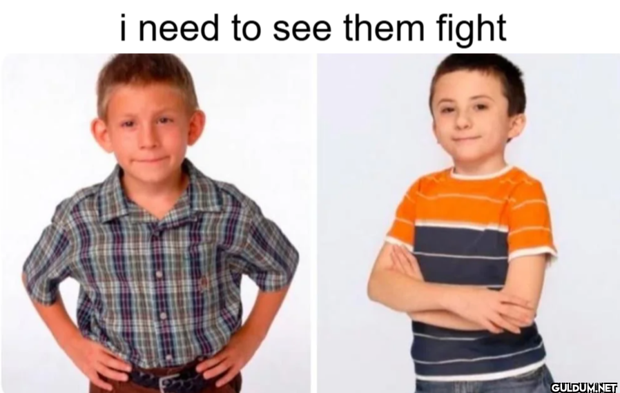 i need to see them fight