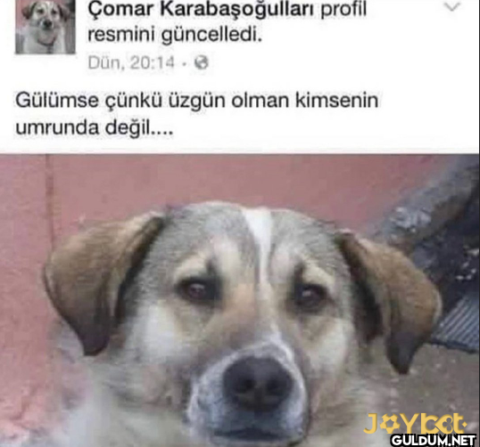 Çomar Karabaşoğulları...