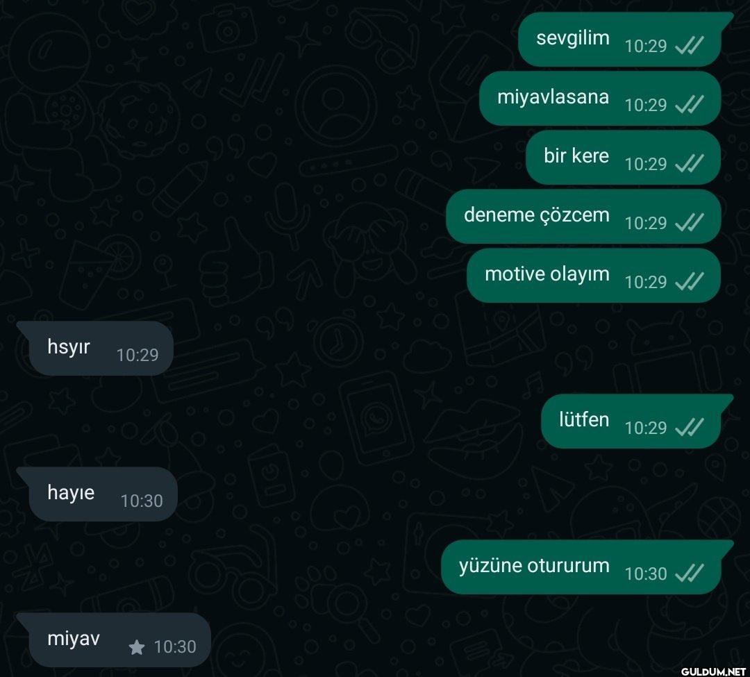 B hsyır 10:29 hayle 10:30...