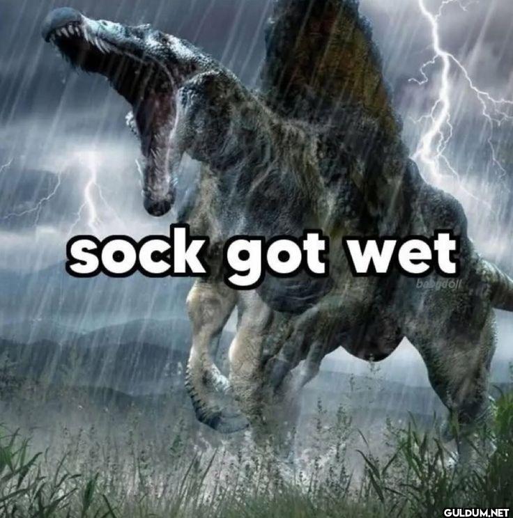 sock got wet