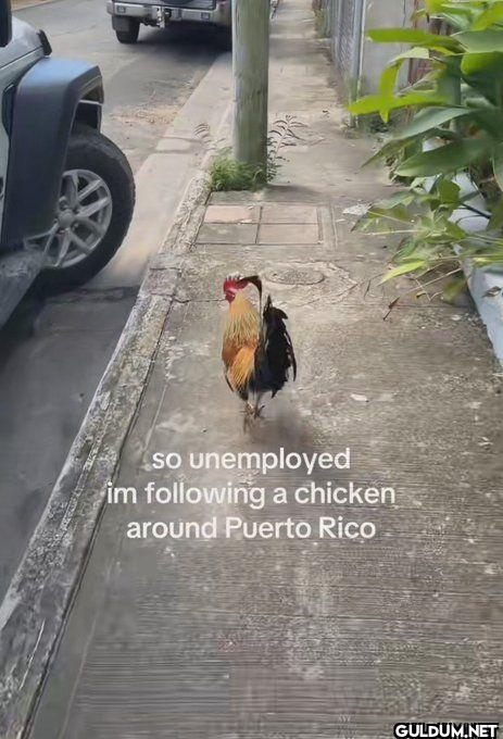 .so unemployed im a...