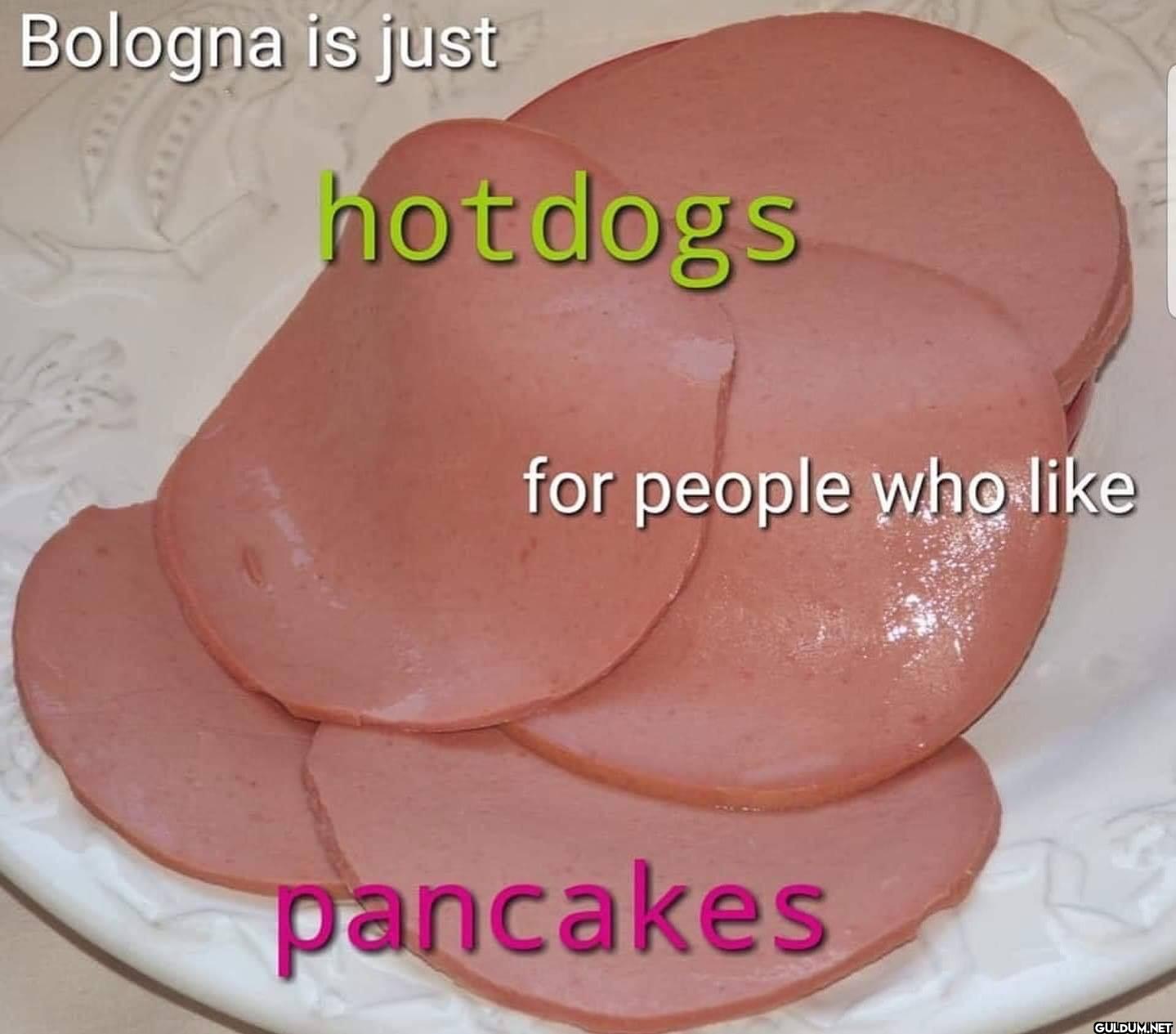 ︎ ︎ ︎ ︎ ︎    Bologna is...