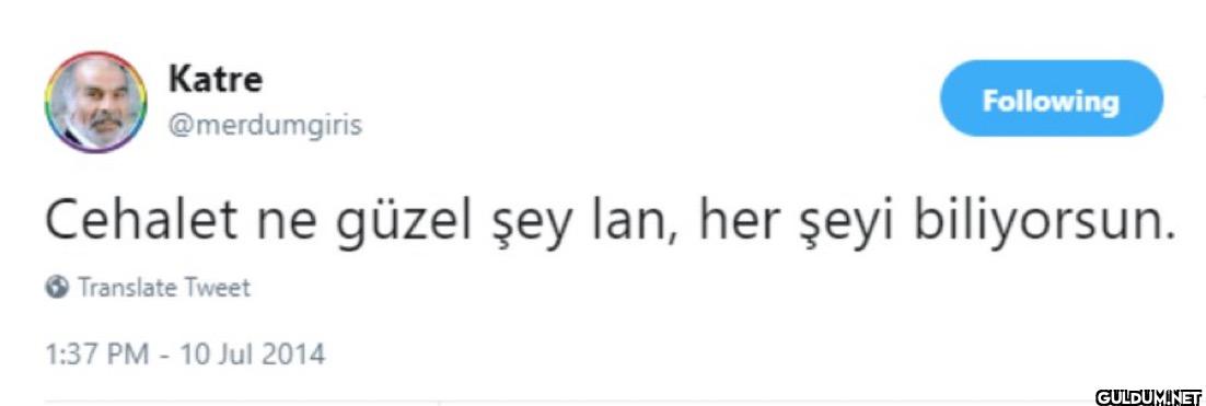 Following Cehalet ne güzel...