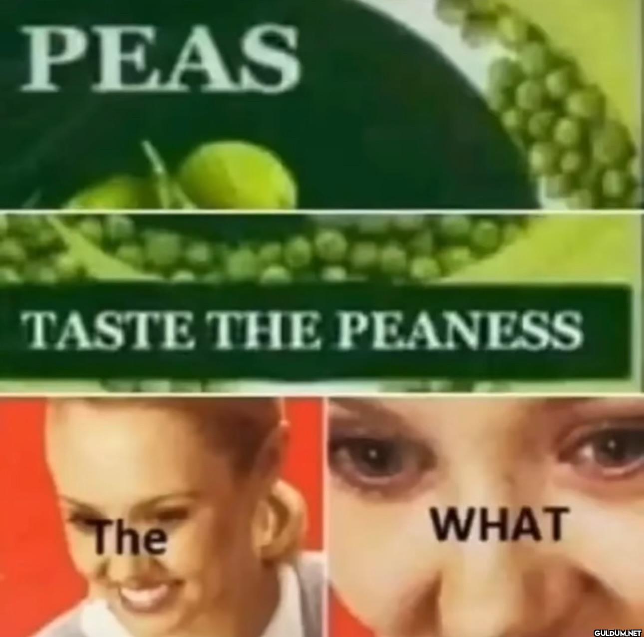 PEAS TASTE THE PEANESS The WHAT