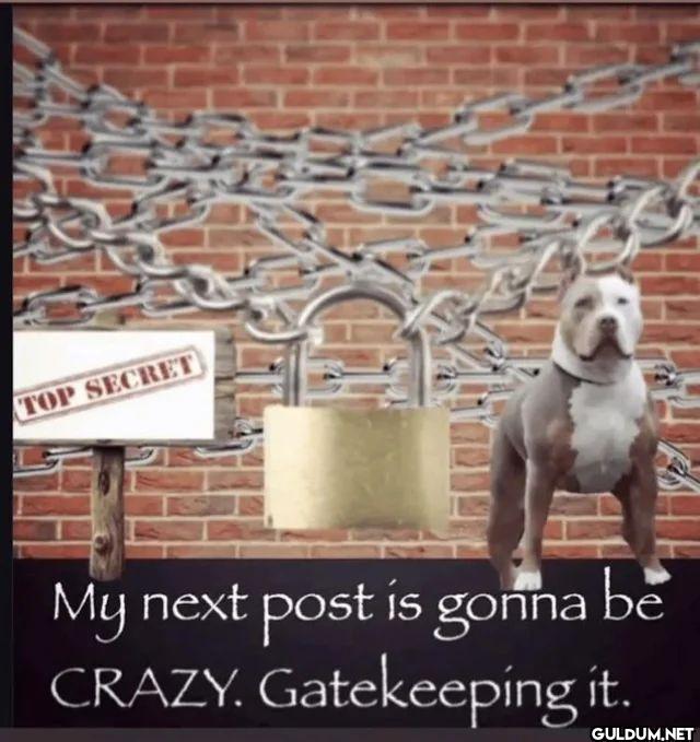 TOP SECRET My next post is...