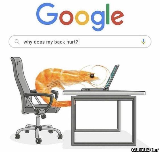Google Qwhy does my back hurt?