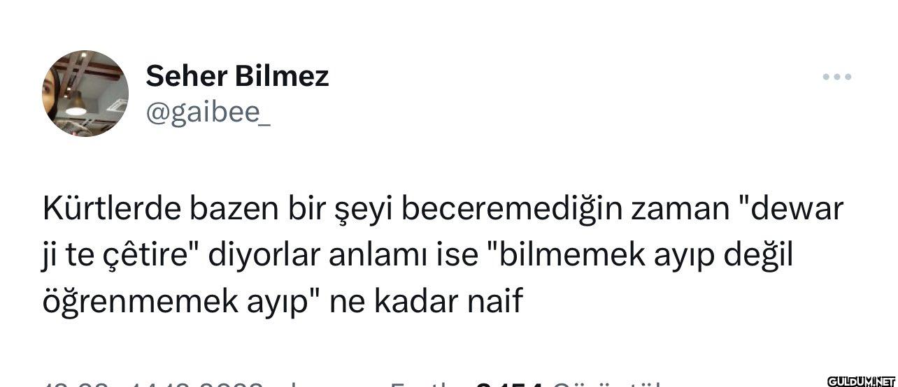Kürtlerde bazen bir şeyi...