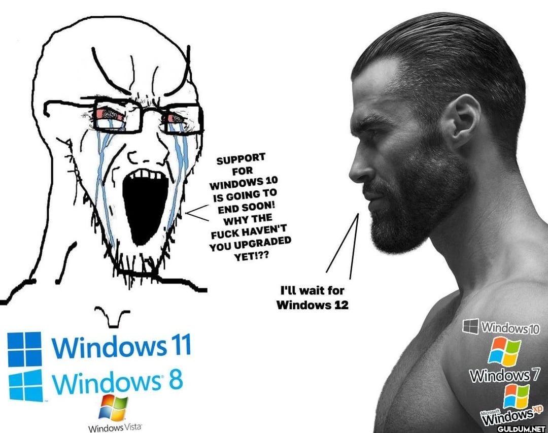 Windows 11 Windows 8...