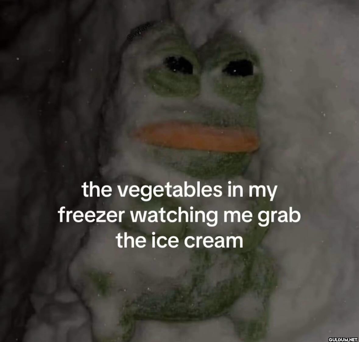 ︎ ︎    the vegetables in...