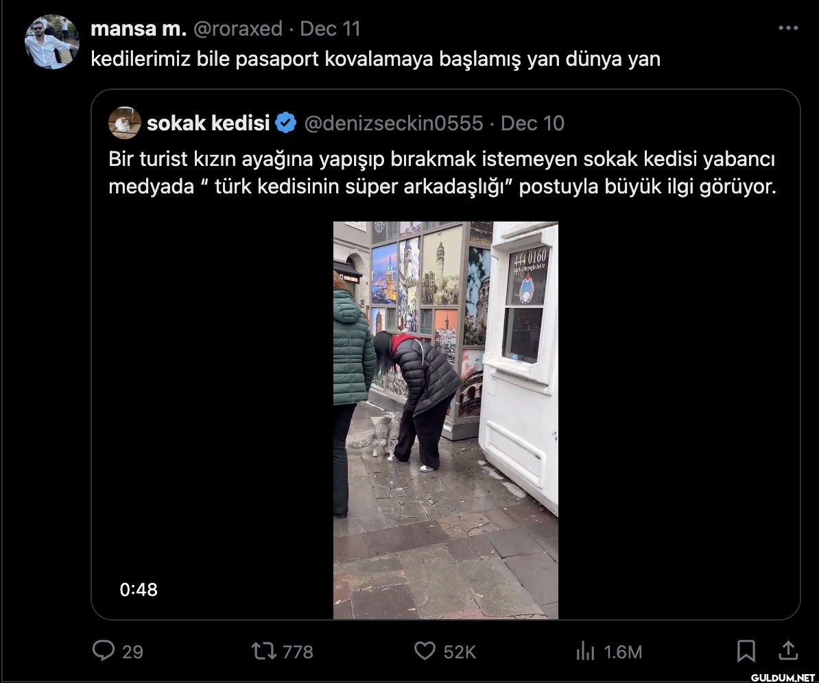 Dec 11 kedilerimiz bile...