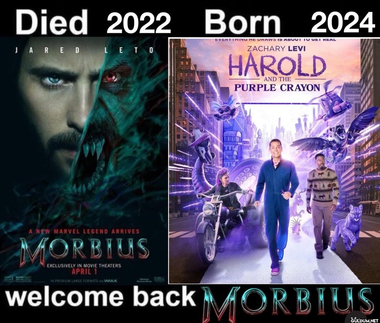 Died 2022 Born 2024 JARED...