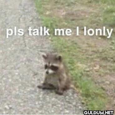 pls talk me I lonly