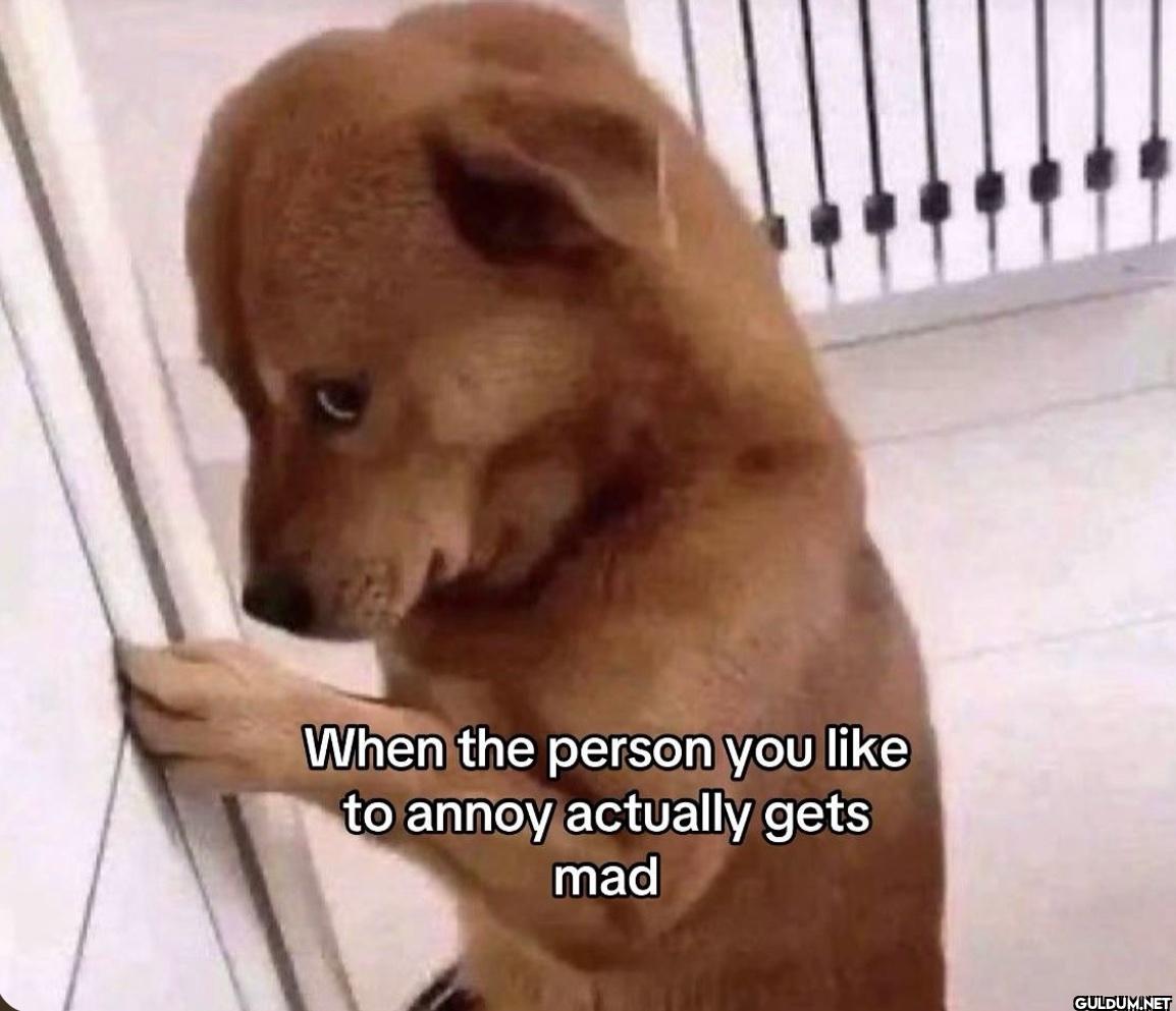 When the person you like...
