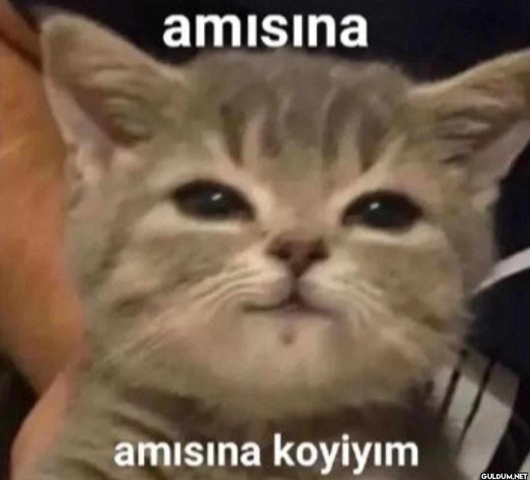 Hafta sonu yaşanan...