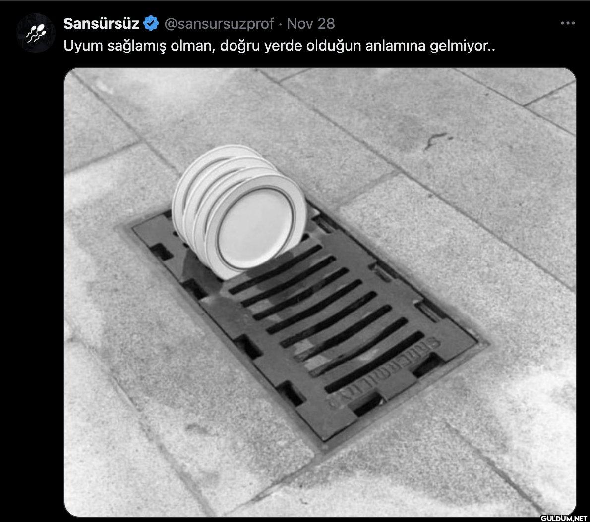 Nov 28 Uyum sağlamış...