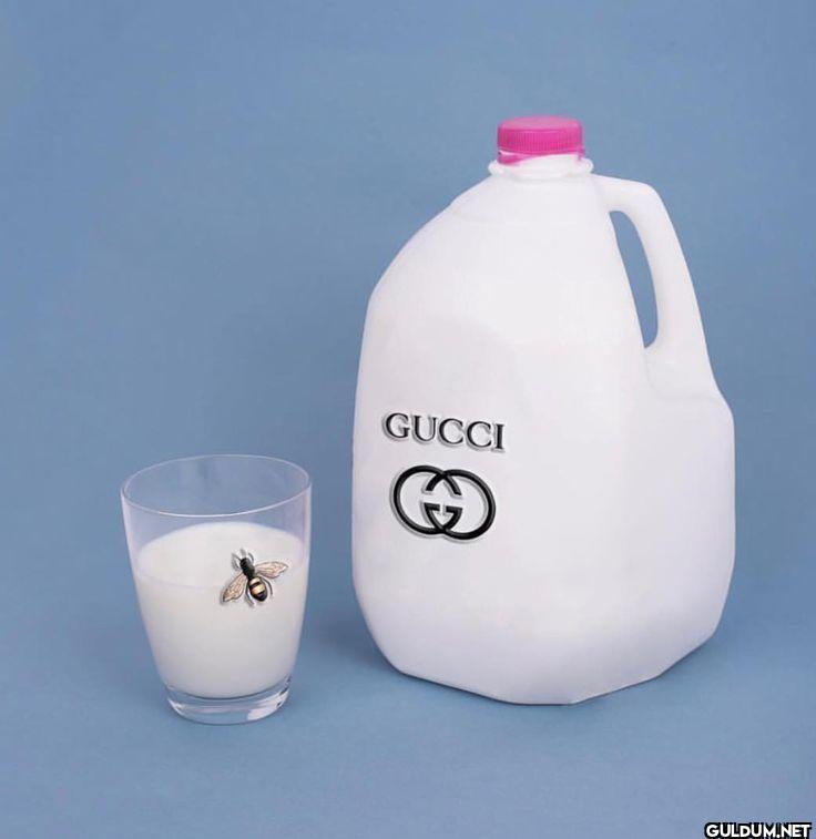 GUCCI