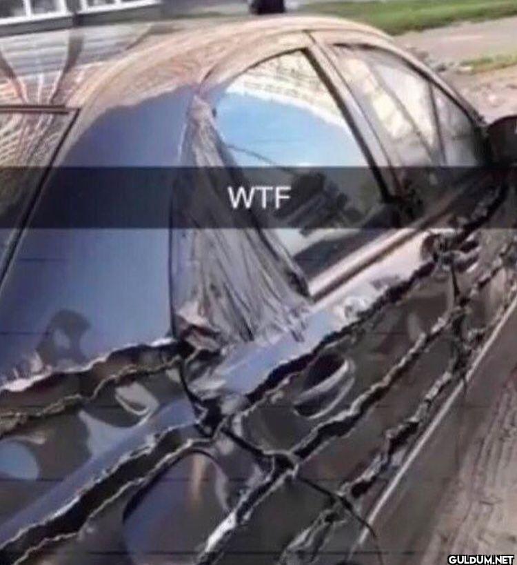 WTF