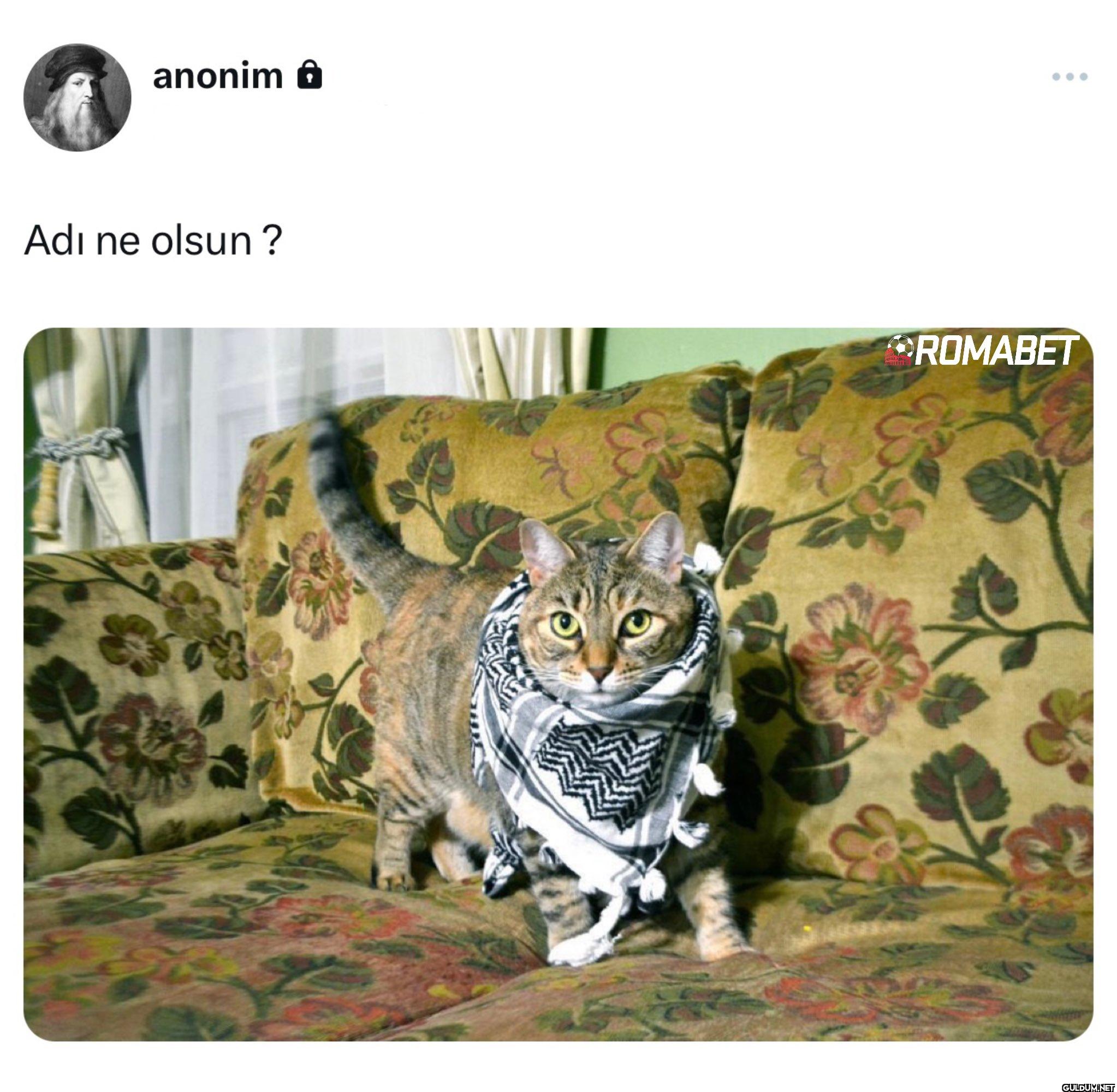 Haydi yoruma    anonim Adı...