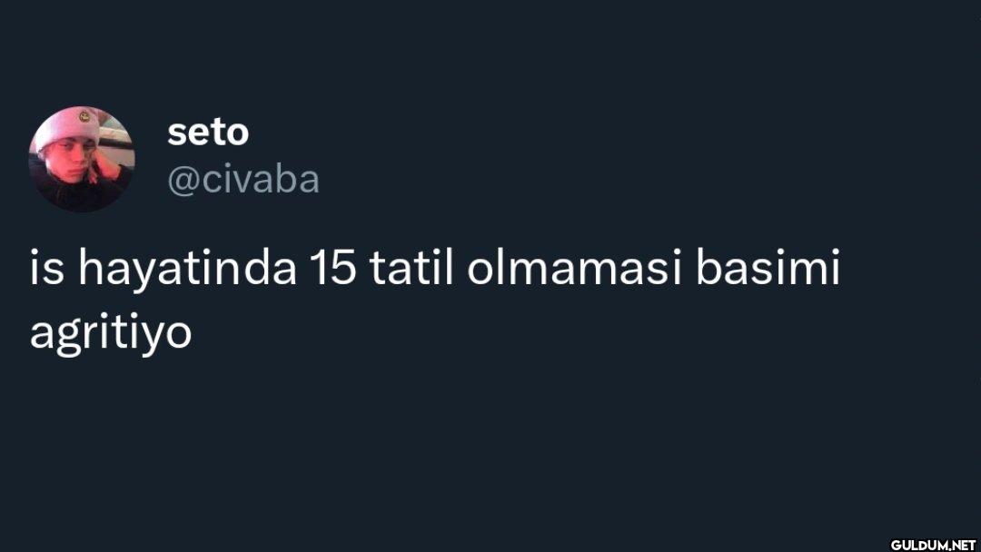 is hayatinda 15 tatil...