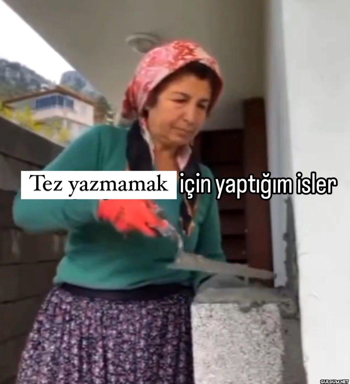 Tez yazmamak için yaptığım işler