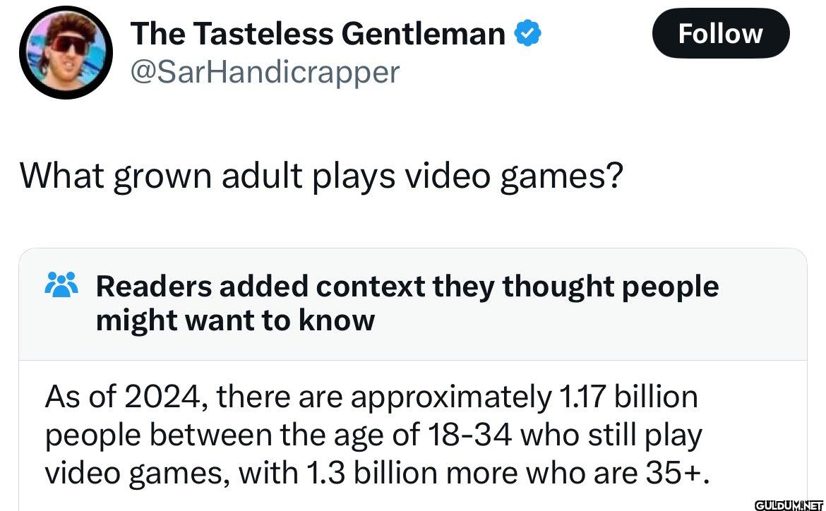 What grown adult plays...