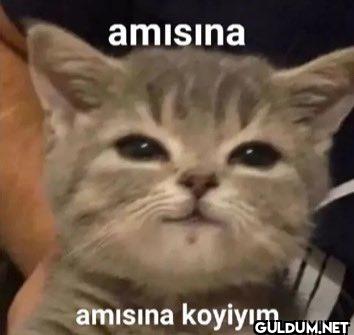 Uykusuz geçen her günün   ...