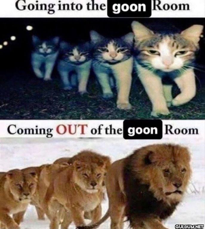 Going into the goon Room...