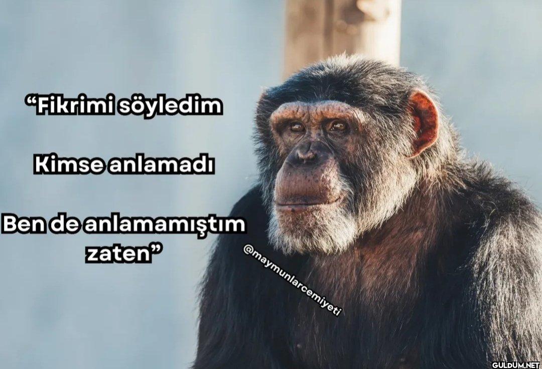 "Fikrimi söyledim Kimse...