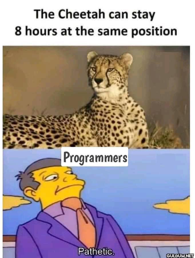 programmers on deadline.  ...