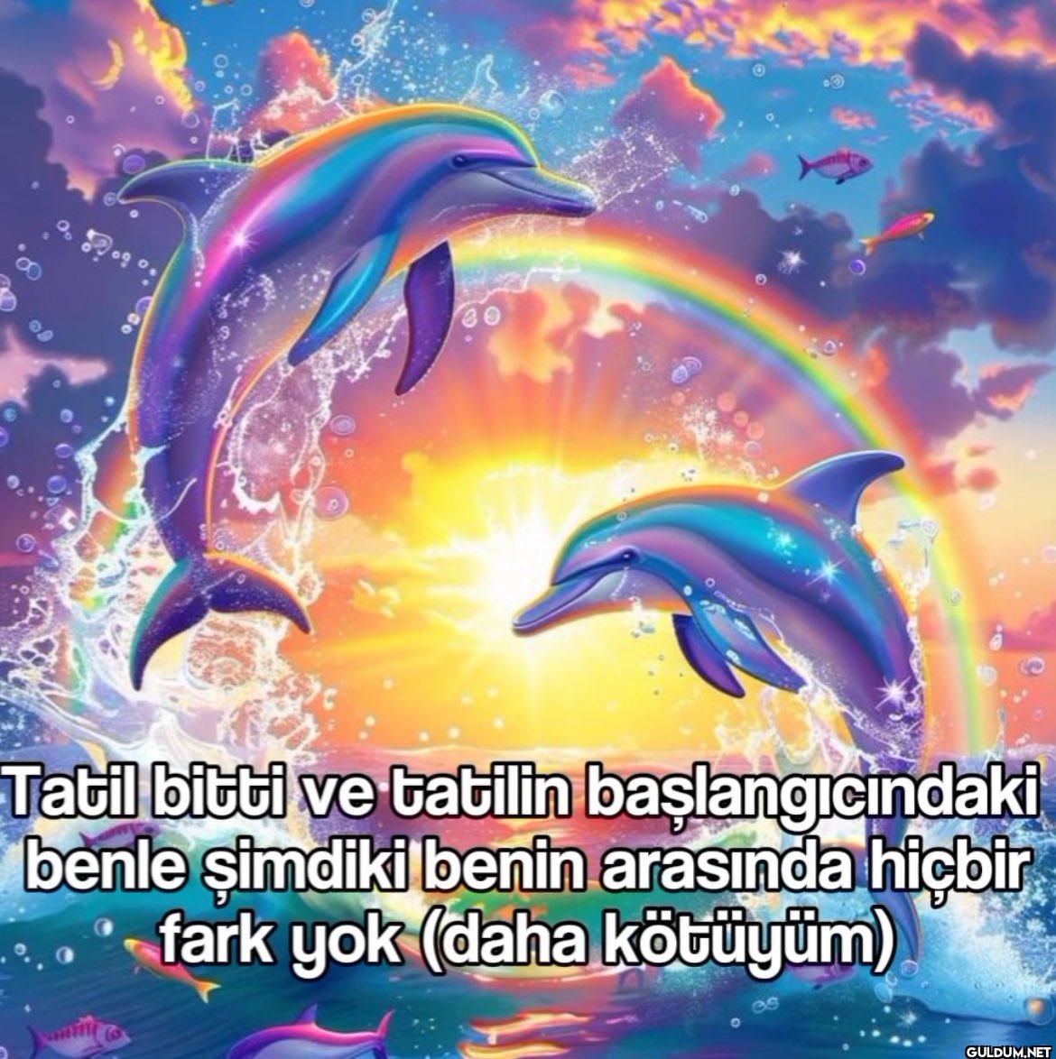 Tatil bitti ve tatilin...
