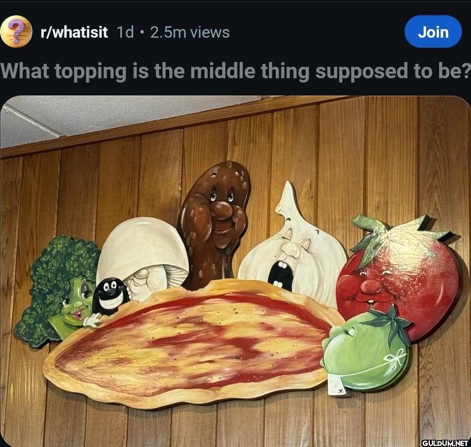r/whatisit 1d ⚫ 2.5m views...