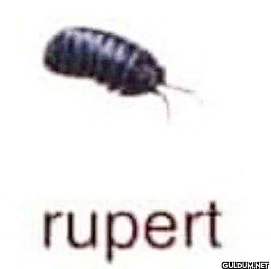 rupert