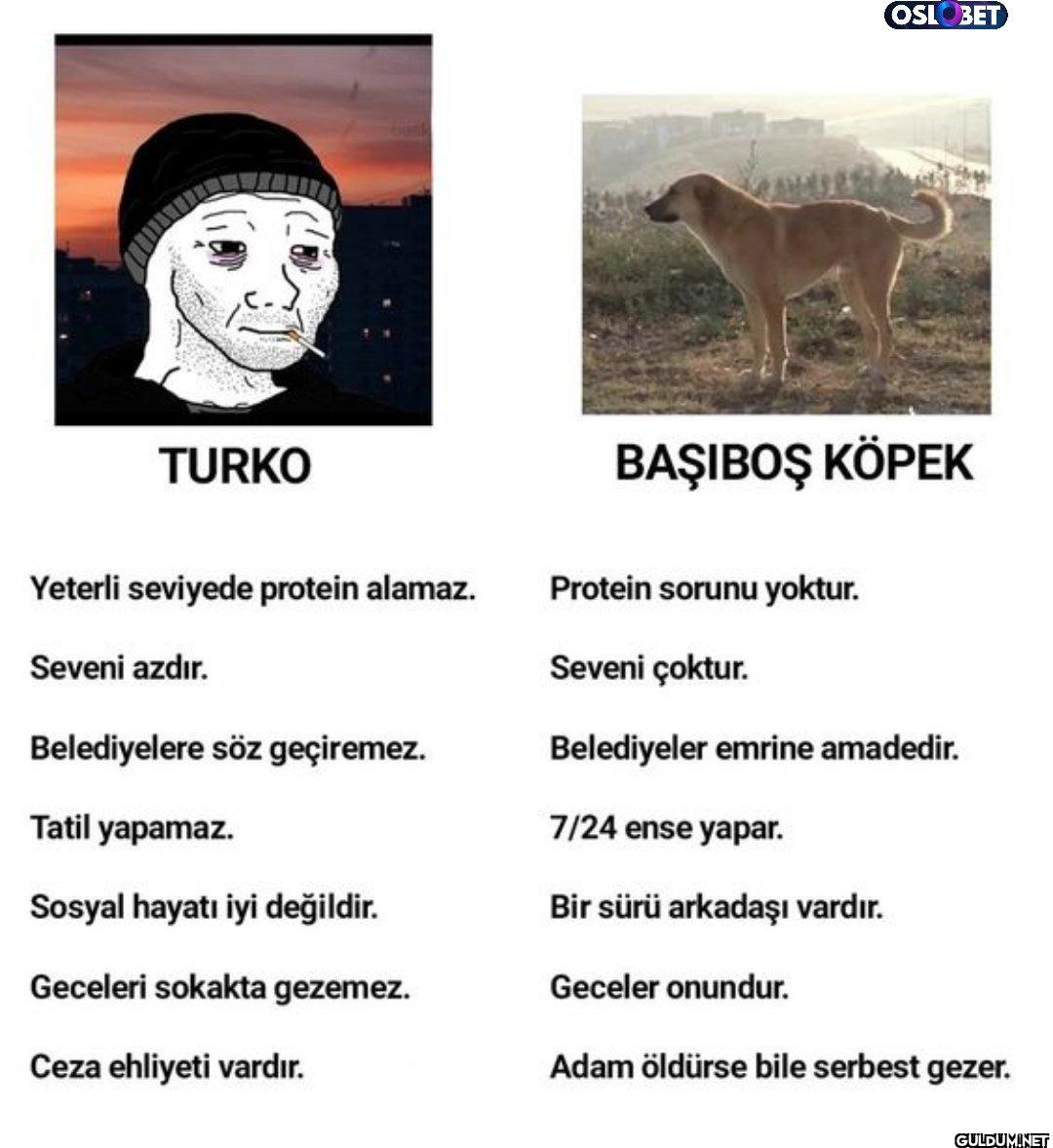 OSLOBET TURKO Yeterli...