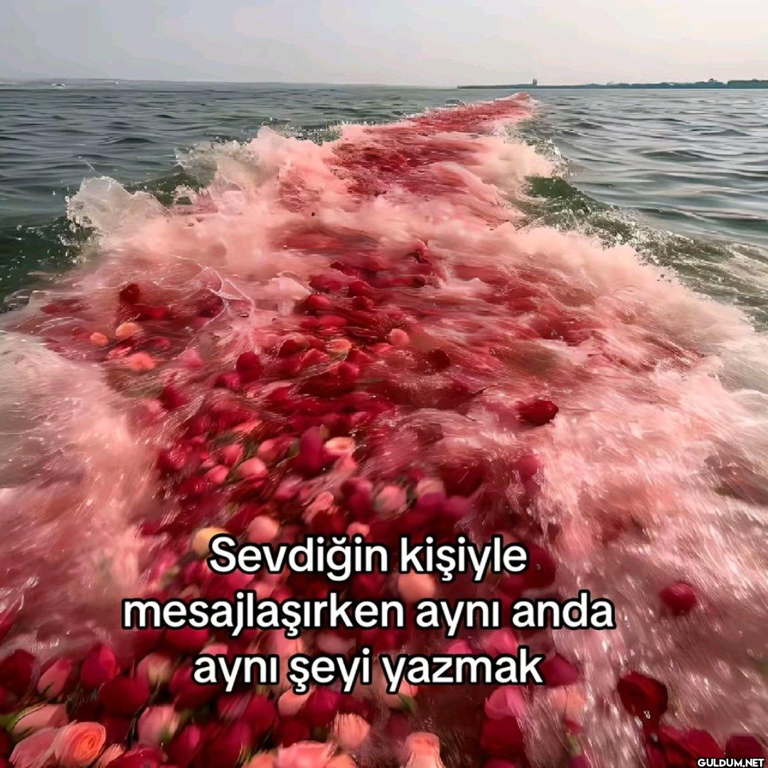 Sevdiğin kişiyle...