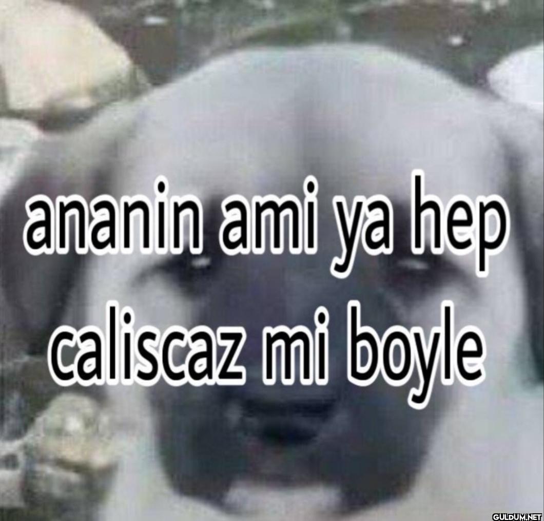 ananin ami ya hep caliscaz mi boyle